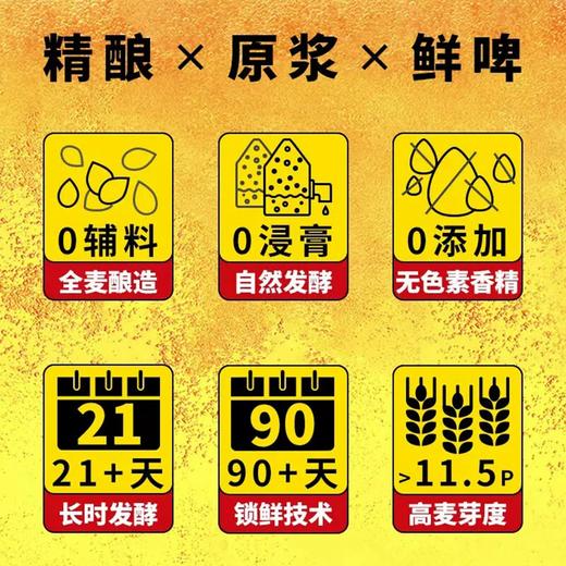 1L鲜啤30公里德式小麦 低温短保 0辅料0浸膏0添加 商品图4