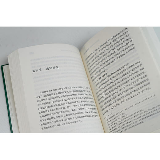 信托所得的跨境征税：原则、筹划与安排 商品图3