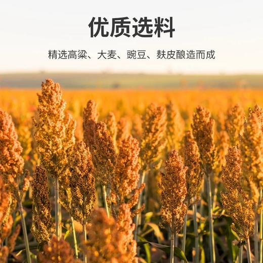 武当道醋2250ml 商品图2