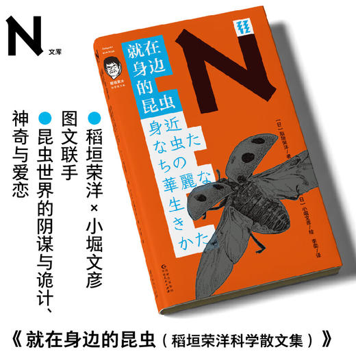 就在身边的昆虫 商品图0