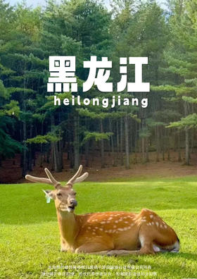 【伊春之春 杜鹃似火】黑龙江双飞六日游