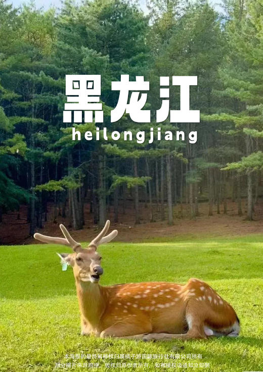 【伊春之春 杜鹃似火】黑龙江双飞六日游 商品图0