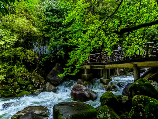 元旦3日【婺源望仙谷】三清山の菊径村-卧龙谷-樟村-月亮湾-景德镇陶溪川-瑶里古镇 商品图6