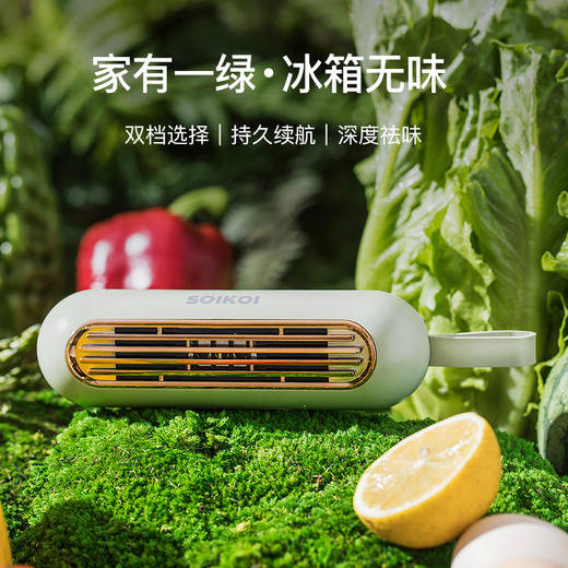 【绮】司崎库冰箱除味器SK-RD106 商品图0