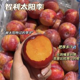 智利钻石太阳李 | 进口水果