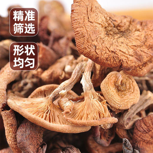 聚珍惠品有机榛蘑木耳礼盒 商品图3