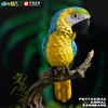 蓝黄鹦鹉&绯红鹦鹉  啥鸟系列② 模型摆件 金刚鹦鹉鸟类周边 ★动物帮帮 官方正品【48小时发货】 商品缩略图4