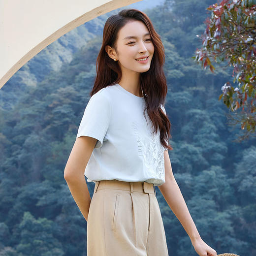 玳莎绣花圆领T恤女2025年夏季新款丝滑透气清新时尚百搭短袖上衣  FB32103 商品图2