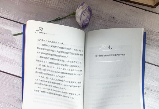 2册 大作家小童书 英雄艾凡赫+鲁特伯格故事 珍藏图本 商品图7