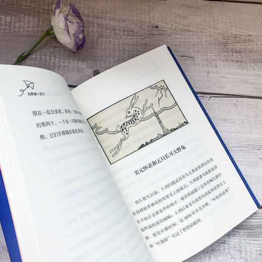 2册 大作家小童书 英雄艾凡赫+鲁特伯格故事 珍藏图本 商品图8