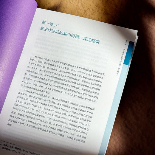 多主体协同的幼小衔接 理论 现状与实践进路 黄瑾 商品图8