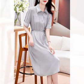 KQ-P09096茶歇法式桔梗复古真丝气质收腰显瘦翻领蓝条衬衫连衣裙女夏桑蚕丝