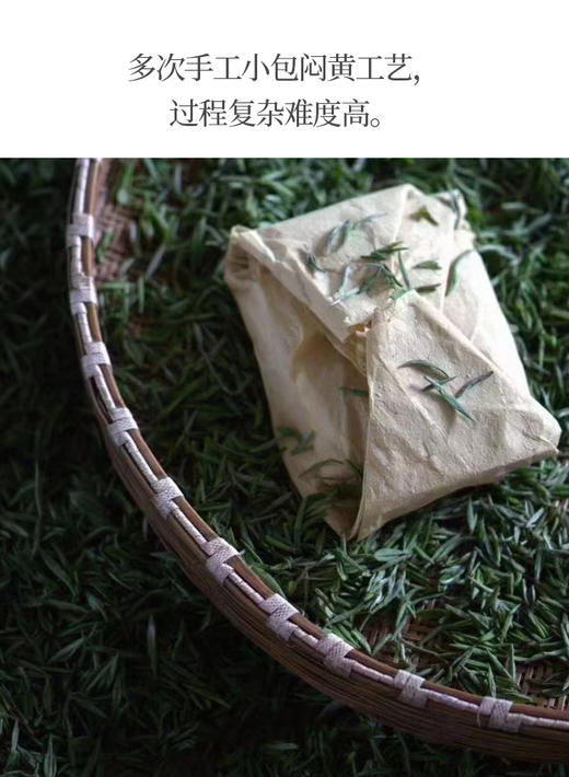蒙顶黄芽 25克装 蒙山顶山头采小米芽 商品图9