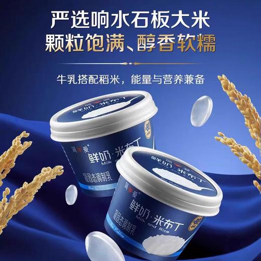 【BF】简爱米布丁  135g 商品图0