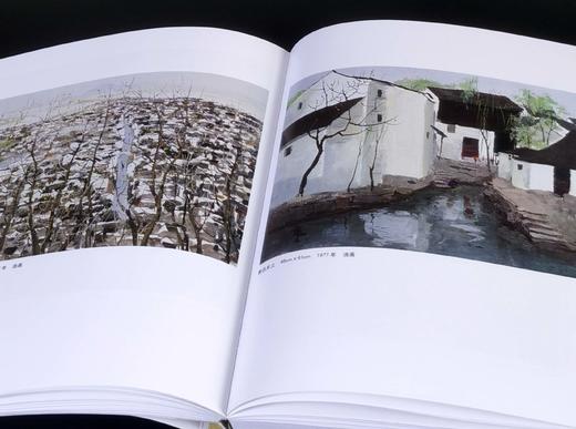 二十世纪中国西画文献三种：《吴冠中》《刘海粟》，32开，平装，铜版彩印，王晓主编，文化艺术出版社2010年左右出版，253+258页，单册定价88元，售价35元。 商品图3