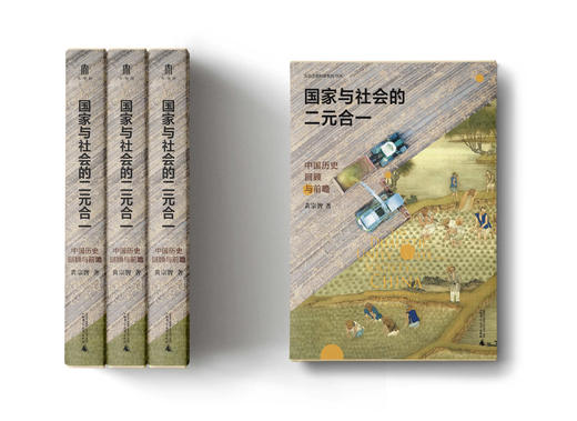 实践社会科学系列  国家与社会的二元合一：中国历史回顾与前瞻 商品图4