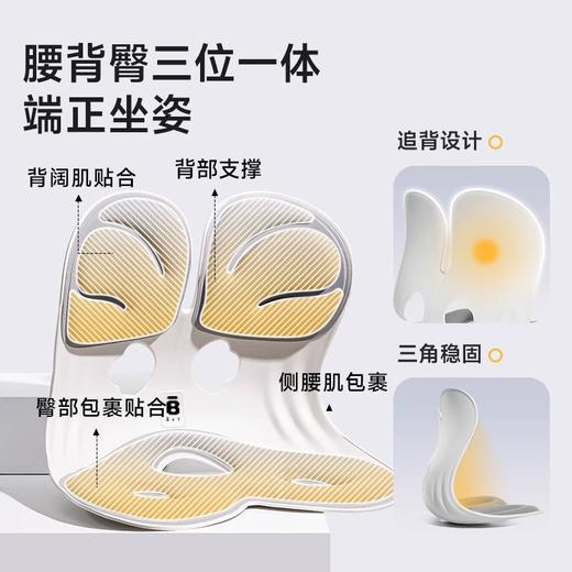 BKT人体工学护腰坐姿椅 一体承托护腰减压 呵护脊椎端正体态 商品图6