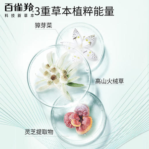 百雀羚爽肤水肌初赋活紧肤精华水90ml 商品图2
