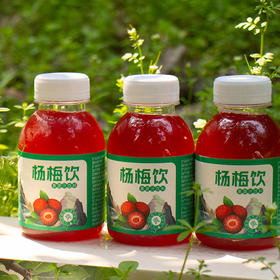 【低GI黑糖杨梅汁饮品】酸甜可口，杨梅味浓郁 248ml*8瓶，可常温可冷藏【AA】