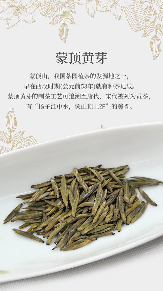 蒙顶黄芽 25克装 蒙山顶山头采小米芽 商品图6