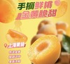 溜溜梅上海黄桃（80g） 商品缩略图1