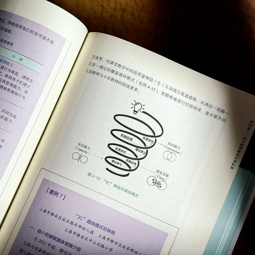 区域推进幼小科学衔接的机制创新 孙忠 迈向高质量的幼小衔接丛书 商品图12