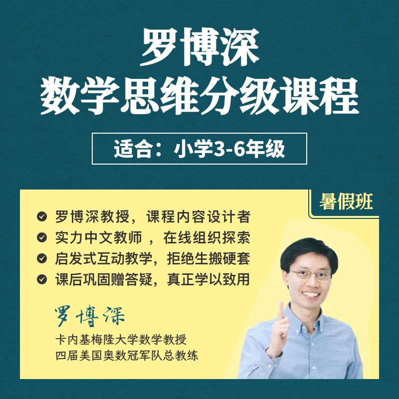 2025年 暑假班《罗博深数学思维分级课》