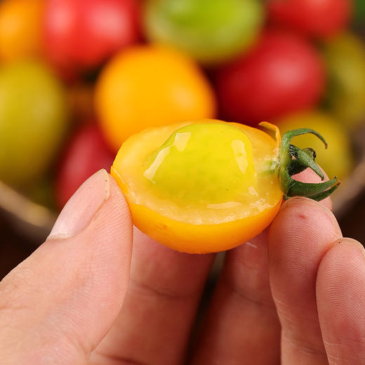 【宜昌助农馆】三色番茄  新鲜小番茄维C满满 时令水果3斤装 商品图3