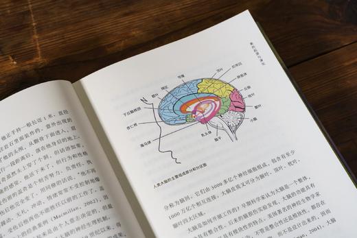 美是进化的奖励：从孔雀尾巴到蒙娜丽莎 | 一部颠覆认知的 “审美进化论”，一场关于生命、艺术和幸福的深度对话 商品图3