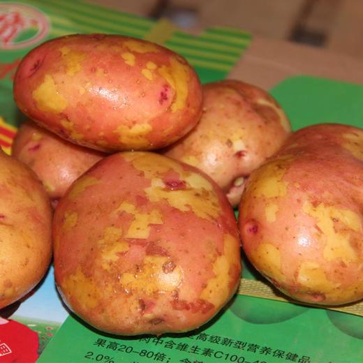 【云南红皮土豆】香甜粉糯 细嫩绵密不噎人 口感香甜 原生态种植 2种规格任选 商品图1