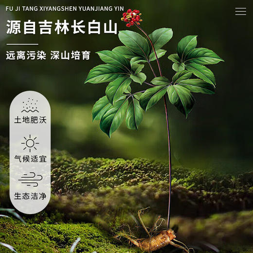 【绮】茯济堂 西洋参原浆饮300ML 商品图1