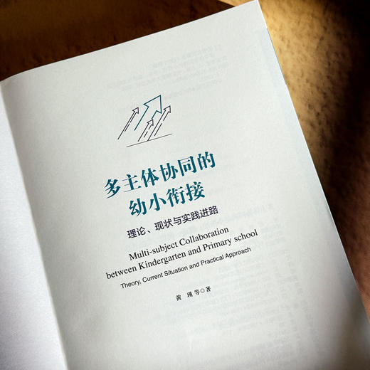 多主体协同的幼小衔接 理论 现状与实践进路 黄瑾 商品图5