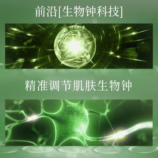 佰草集太极生物钟眼霜15g 商品图2