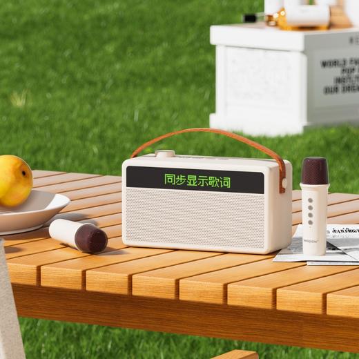 热卖中！！【华为合作代工厂】沃品便携K歌蓝牙音箱AP09 自带双麦克风 显示歌词 商品图1