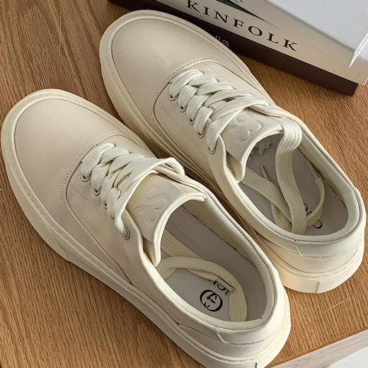 徐太浪时尚系带休闲布鞋2025新款夏季透气大码青年流行男鞋低帮鞋 商品图1