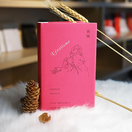 色情//棱镜精装人文译丛 [法]乔治·巴塔耶 商品图1