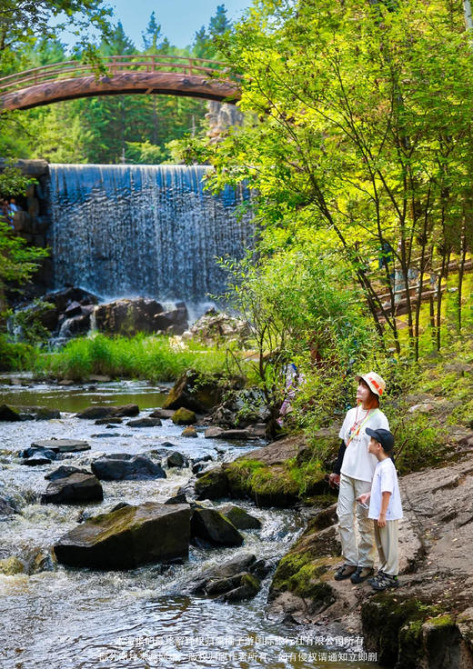 【伊春之春 杜鹃似火】黑龙江双飞六日游 商品图1