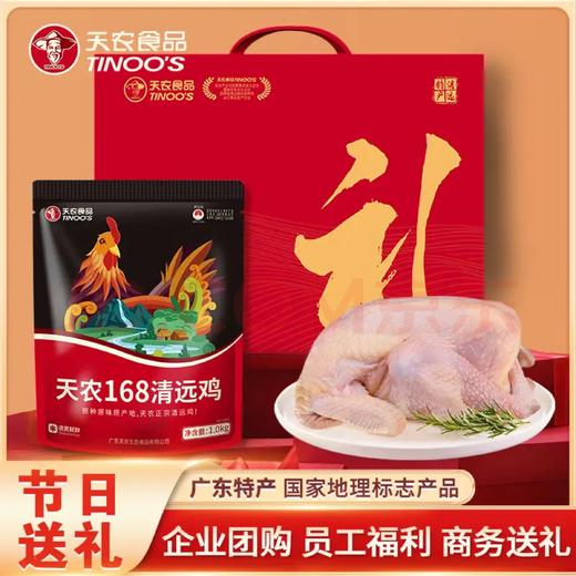 【礼盒】天农168纯种清远鸡2斤 优生态农场散养 供港品质 源头直发 商品图0