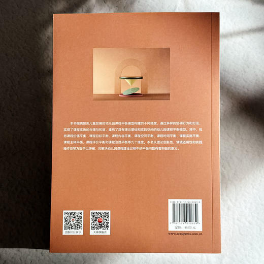 幼儿园课程平衡的九个维度 骆云蕾 吴桂香 课程治理新范式丛书 商品图2