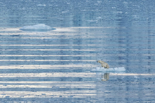 限时特惠*2025“我要去北极”海神号（出发日期7月4日） 商品图4