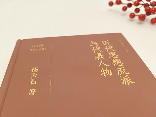近代思想流派与代表人物：杨天石先生近代思潮与人物研究合集 商品图2