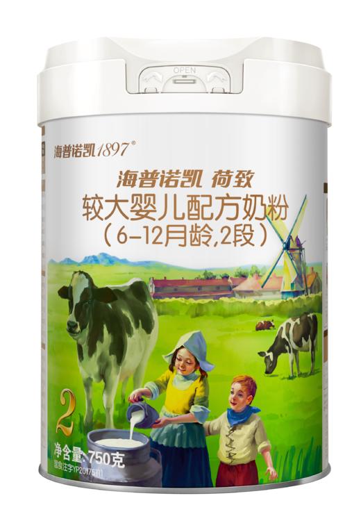 海普诺凯1897白金版 荷致较大婴儿配方奶粉（6-12月龄，2段）750g 商品图0
