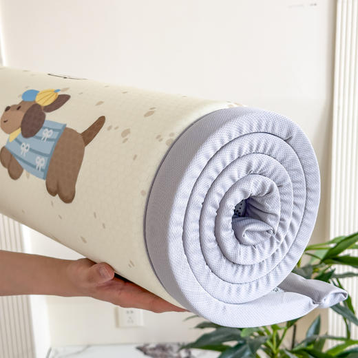 2025春夏A类抗菌印花凉感豆豆多功能垫地垫 加厚海绵可折叠收纳凉席地垫 商品图6