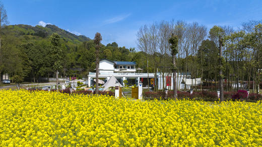 【青城山-533号院】4房/5房温泉/泳池villa别墅，青城前山景区旁，熊猫谷，独栋villa大别墅，可放烟花、可K歌，儿童游玩、花园别墅cjys 商品图12