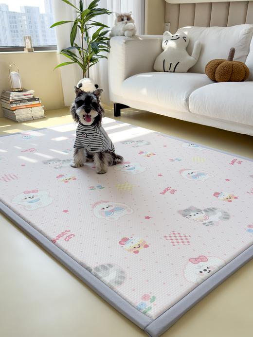 2025春夏A类抗菌印花凉感豆豆多功能垫地垫 加厚海绵可折叠收纳凉席地垫 商品图11