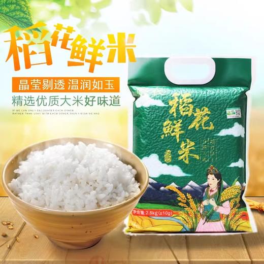 察农·稻花鲜米·5kg  颗粒饱满均匀 米香浓郁不寡淡 商品图1