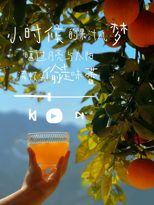 【满枝头橙子上线~每个规格只有30份】我怕有人偷走了它该晒的阳光😎所以来的晚了一些🧑‍满枝头吸管橙季——全年橙王品种‼ 车车稳，颗颗鲜 十年鲜橙专家 商品图5