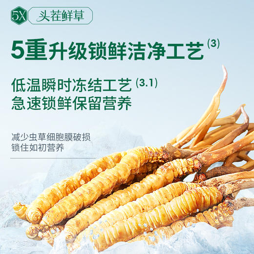 [火热预售中]  阿依舍2025年新鲜冬虫夏草礼盒 商品图3
