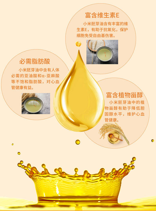 小米胚芽油   运动营养品 商品图3