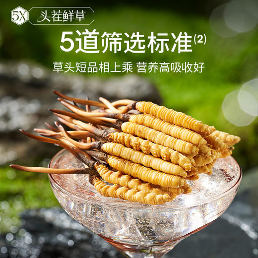 [火热预售中]  阿依舍2025年新鲜冬虫夏草礼盒 商品图11